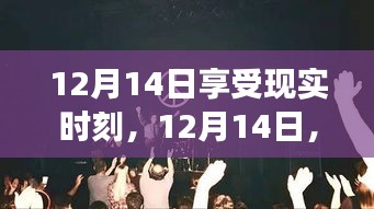 12月14日，與自然共舞，尋找內心平靜的奇妙之旅