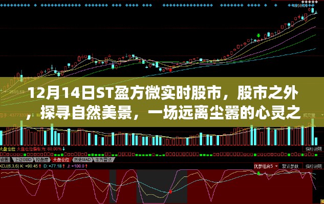 ST盈方微股市輕語，探尋自然美景的心靈之旅，啟程于股市之外