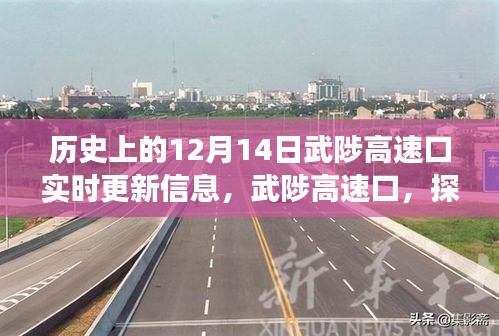 武陟高速口，探尋自然美景的啟程之地，揭秘歷史與未來(lái)，奇妙旅程盡在12月14日