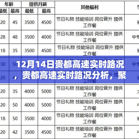 貴都高速實時路況聚焦，12月14日路況分析與各方觀點