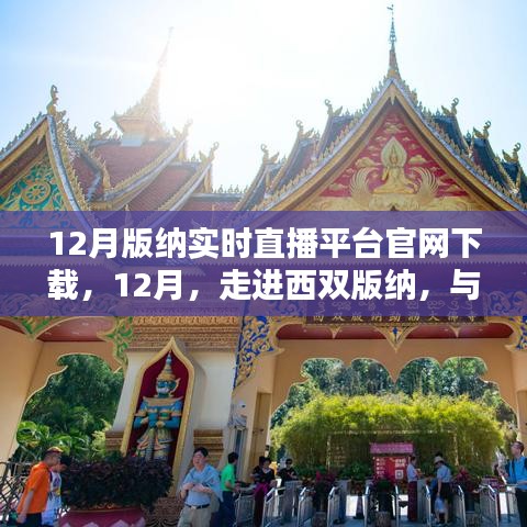 西雙版納實時直播平臺官網下載盛況回顧，與大自然共舞，體驗直播魅力