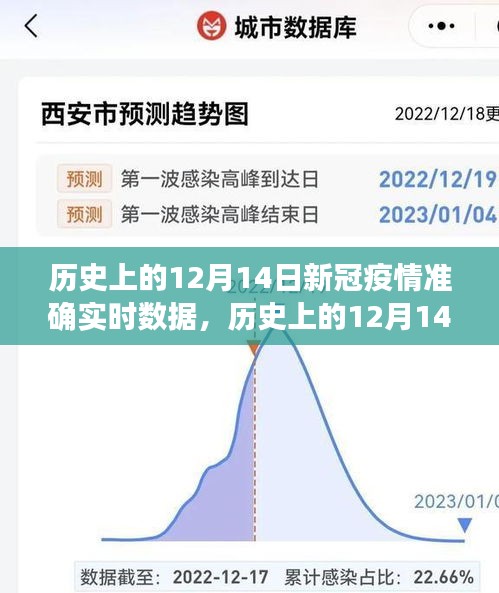 歷史上的12月14日新冠疫情實(shí)時(shí)數(shù)據(jù)解析與產(chǎn)品評(píng)測(cè)