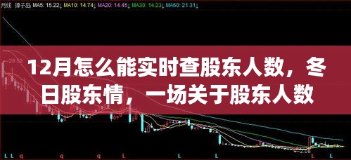 冬日股東情，實(shí)時(shí)查詢股東人數(shù)的故事與指南