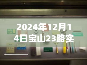 探秘寶山23路，巷弄深處的特色小店，驚喜之旅（實時動態(tài)，2024年12月14日）