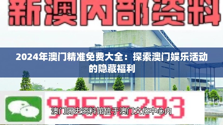 2024年澳門(mén)精準(zhǔn)免費(fèi)大全：探索澳門(mén)娛樂(lè)活動(dòng)的隱藏福利
