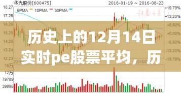 探尋PE股票背后的自然秘境之旅，歷史上的12月14日實時平均數(shù)據(jù)解析