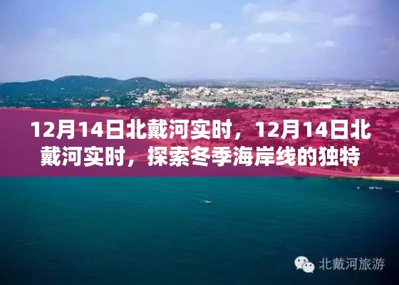 探索冬季北戴河海岸線的獨(dú)特魅力，實(shí)時(shí)報(bào)道與體驗(yàn)分享