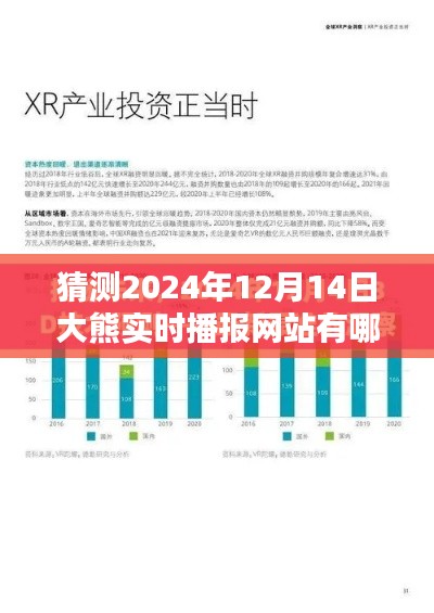 預(yù)測(cè)未來(lái)，探索大熊實(shí)時(shí)播報(bào)網(wǎng)站在2024年12月14日的形態(tài)