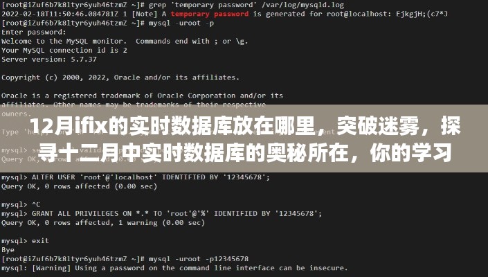 探尋十二月實(shí)時(shí)數(shù)據(jù)庫位置，學(xué)習(xí)之旅啟程