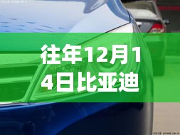 比亞迪速銳之旅，與自然共舞，探尋內(nèi)心平和與速度的實(shí)時(shí)車速體驗(yàn)之旅