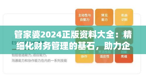 管家婆2024正版資料大全：精細化財務管理的基石，助力企業(yè)穩(wěn)健發(fā)展