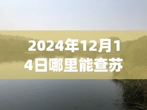 2024年蘇州實時公交指南，探秘自然美景與尋找心靈驛站