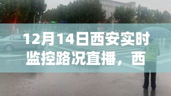 12月14日西安實(shí)時(shí)路況直播解析，避開(kāi)擁堵，輕松出行