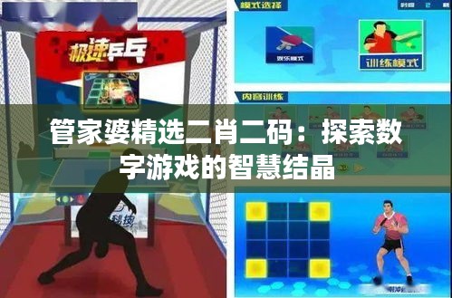 管家婆精選二肖二碼：探索數(shù)字游戲的智慧結晶