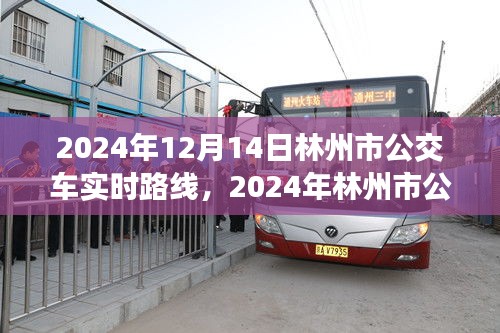 2024年林州市公交車實(shí)時(shí)路線指南，12月14日最新路線