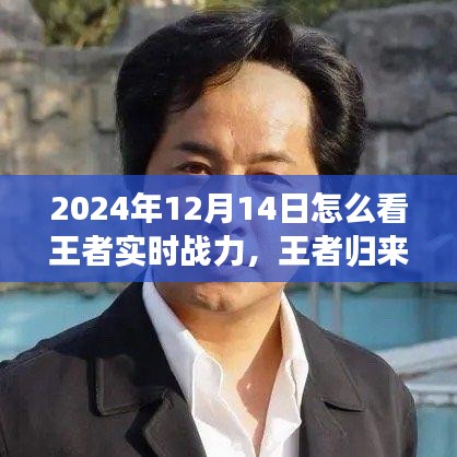 王者歸來，探尋自然美景之旅與解鎖內(nèi)心平靜之力，實時戰(zhàn)力指南（2024年12月14日）