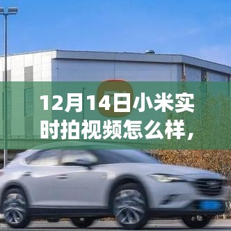 忠心耿耿 第4頁