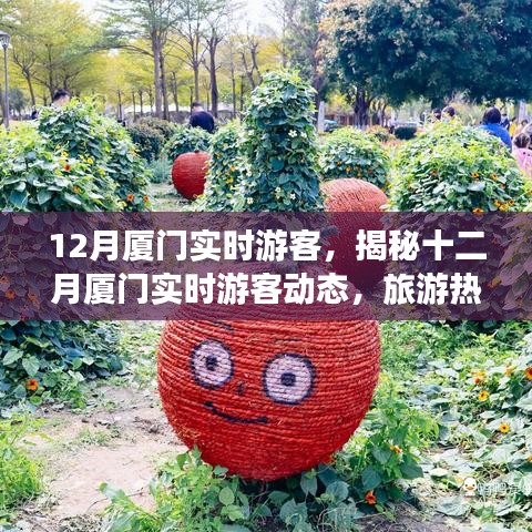 揭秘十二月廈門游客動態(tài)，旅游熱點、特征與活動亮點