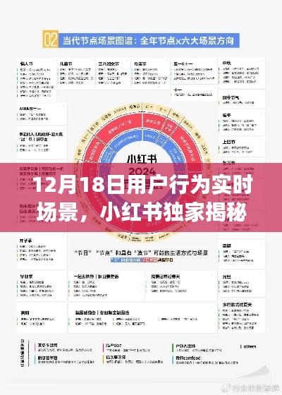 小紅書獨家揭秘，12月18日用戶行為實時場景全解析與洞察