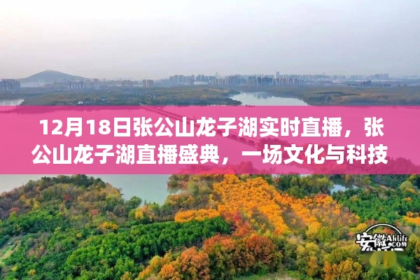 張公山龍子湖直播盛典，文化與科技的璀璨交融之夜