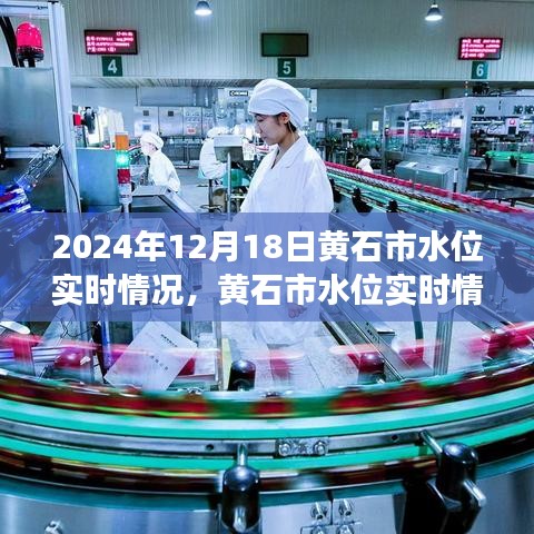 黃石市水位實時觀察與分析報告，聚焦黃石市水位實時情況觀察與觀點（2024年12月18日）