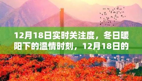 12月18日實(shí)時(shí)關(guān)注，冬日暖陽(yáng)下的溫情時(shí)刻