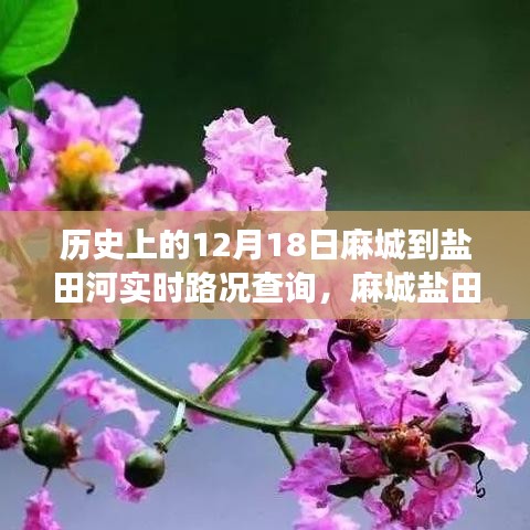 麻城鹽田河，一條路上的故事與溫情——實(shí)時(shí)路況查詢(xún)記錄