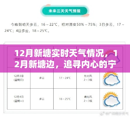12月新塘實(shí)時(shí)天氣探索，追尋內(nèi)心的寧?kù)o與自然微笑
