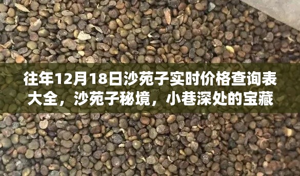 沙苑子實(shí)時(shí)價(jià)格查詢表及秘境探秘，小巷深處的寶藏與價(jià)格探秘之旅