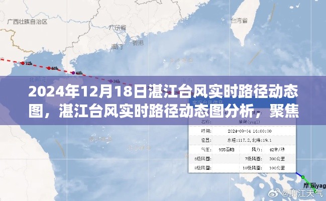 湛江臺風(fēng)實時路徑動態(tài)圖分析，聚焦?fàn)幾h觀點，解讀臺風(fēng)動態(tài)影響報告（附實時路徑圖）