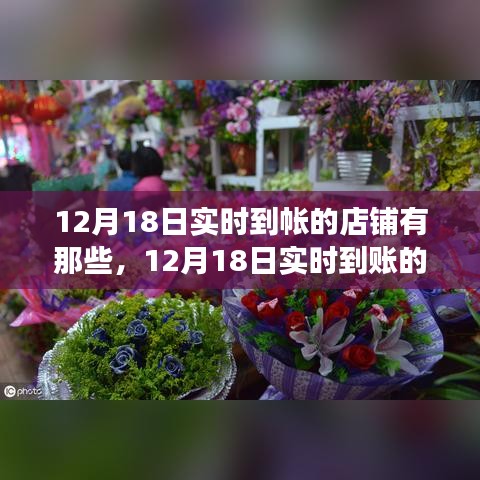 探尋實(shí)時(shí)到賬店鋪風(fēng)云，揭秘背后的故事與影響，聚焦12月18日實(shí)時(shí)到賬店鋪榜單
