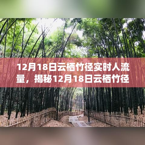 揭秘，云棲竹徑在12月18日的實時人流量深度解析與洞察報告