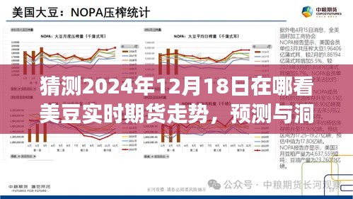 美豆實(shí)時期貨走勢展望，探尋2024年12月18日走勢預(yù)測與洞察