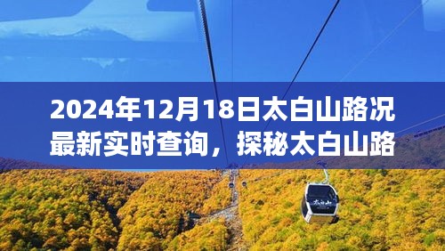 美食之旅