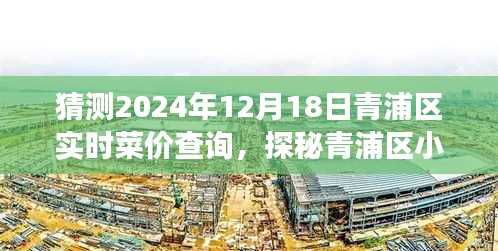 探秘青浦區(qū)菜價秘境，2024年12月18日菜價預測與實時查詢之旅