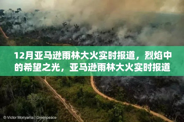 亞馬遜雨林大火實(shí)時(shí)報(bào)道，烈焰中的希望與挑戰(zhàn)，啟示背后的故事與反思