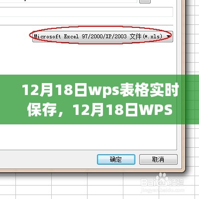 12月18日WPS表格實時保存設置，提升工作效率的關鍵