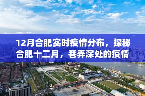 合肥十二月疫情探秘，巷弄深處的實時分布與獨特小店的故事