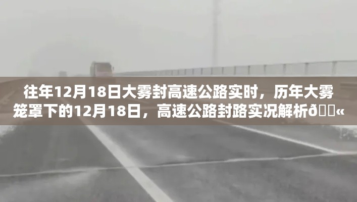 歷年大霧籠罩下的高速公路封路實(shí)況解析，揭秘大霧封路背后的真相與應(yīng)對(duì)之道！