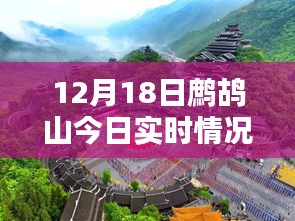 鷓鴣山今日實(shí)時(shí)情況，特色小店帶你領(lǐng)略別樣冬日風(fēng)情，驚喜藏于深山之中