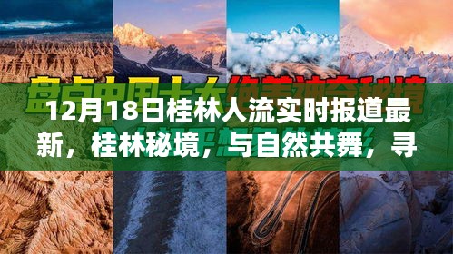 桂林秘境，探尋心靈寧靜之地，最新人流動態(tài)報道