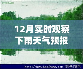 十二月的魔法時刻，雨中探索自然美景，與內心的寧靜共舞的天氣之旅