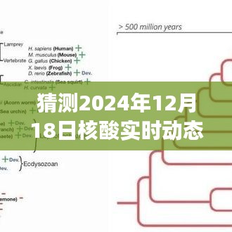 揭秘未來(lái)之旅，核酸實(shí)時(shí)動(dòng)態(tài)與心靈自然美景的奇妙邂逅（預(yù)測(cè)日期為2024年12月18日）