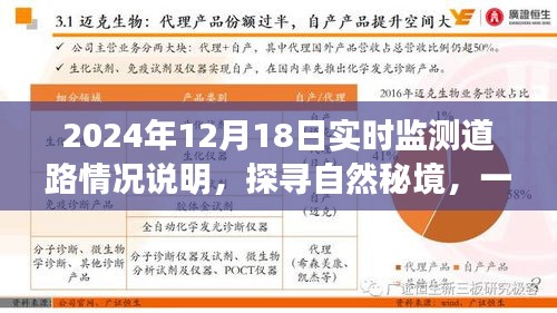 探尋自然秘境的心靈之旅，2024年12月18日實(shí)時(shí)監(jiān)測(cè)道路情況深度解析