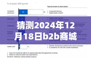 深度評(píng)測(cè)，預(yù)測(cè)與解析2024年12月18日B2B商城實(shí)時(shí)票據(jù)特性、體驗(yàn)、競(jìng)品對(duì)比及用戶群體分析