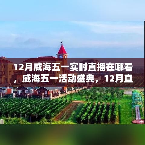 威海五一盛典直播回顧與活動影響力深度探討，直播盛宴與影響探索