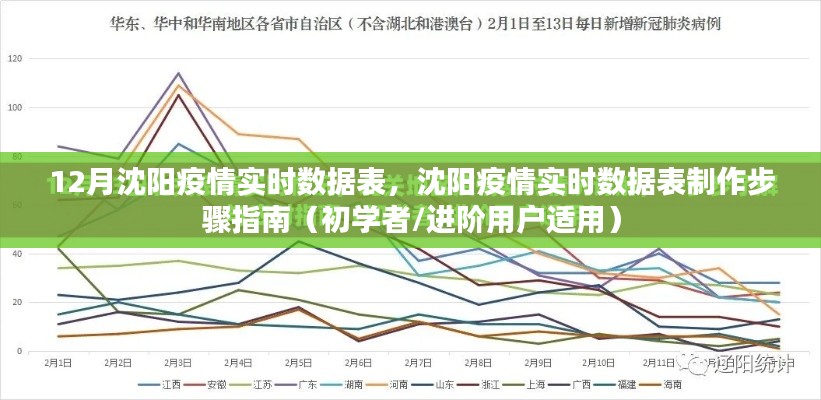 沈陽疫情實(shí)時(shí)數(shù)據(jù)表制作指南，初學(xué)者與進(jìn)階用戶適用
