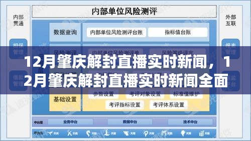 12月肇慶解封直播實時新聞，全面解讀與評測