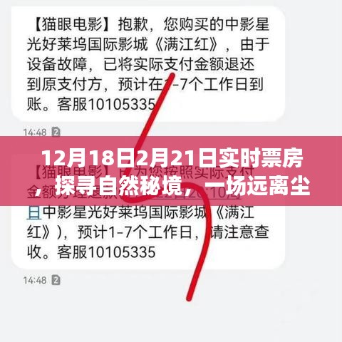 探尋自然秘境的心靈之旅，揭秘實(shí)時(shí)票房熱議背后的故事