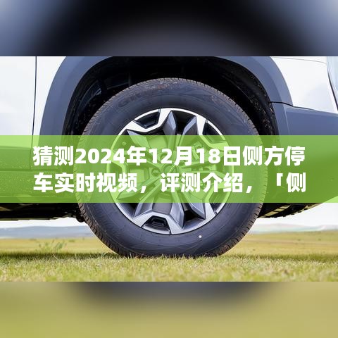 蛾眉曼睩 第3頁(yè)
